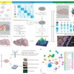 spatial transcriptomics news