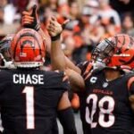 bengals game